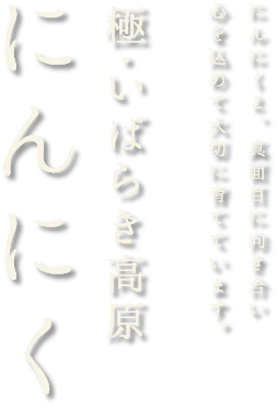 極・いばらき高原 にんにく